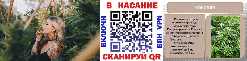 Купить Канабис  Мефедрон  ГАШИШ  Могоча