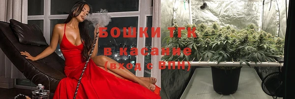 эйфоретик Козловка