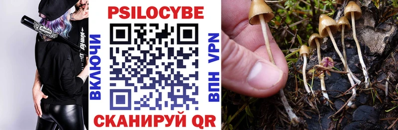 Купить где  Могоча  Псилоцибиновые грибы GOLDEN TEACHER 